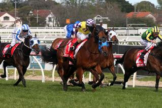 Sacred Elixir (NZ) scores an outstanding win in the A$175,000 Caulfield Guineas Prelude.